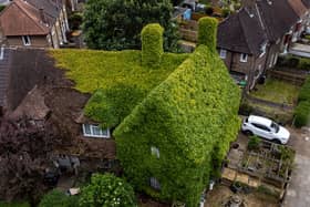 The extraordinary virginia creeper covered house in Bromley, South London which has become a local landmark with tourists stopping to take photos outside it. 